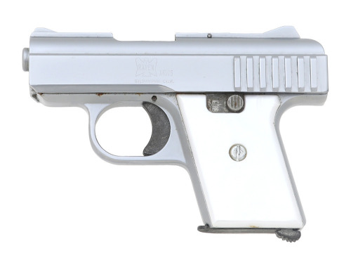 Raven P-25 Semi-Auto Pistol