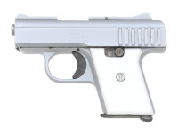 Raven P-25 Semi-Auto Pistol