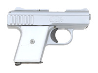 Raven P-25 Semi-Auto Pistol - 2