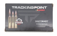 Barnes Trackpoint 300 Winchester Magnum Ammunition