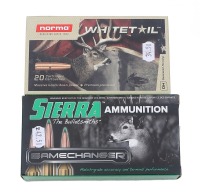 Assorted 243 Winchester Ammunition