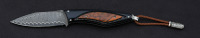 William Henry F28 Raven Limited Edition Grove Fixed Blade Knife
