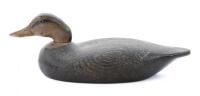 American Black Duck Decoy