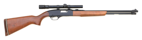 Winchester Model 190 Semi-Auto Rifle