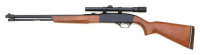 Winchester Model 190 Semi-Auto Rifle - 2