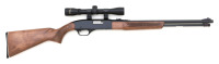 Winchester Model 290 Semi-Auto Rifle