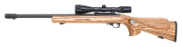 Custom Ruger 10/22 Semi-Auto Rifle - 2