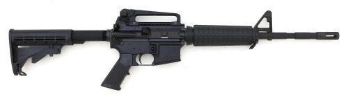 Bushmaster XM15-E2S Semi-Auto Rifle