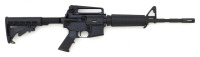 Bushmaster XM15-E2S Semi-Auto Rifle