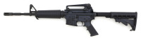 Bushmaster XM15-E2S Semi-Auto Rifle - 2