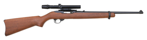 Ruger 10/22 Semi-Auto Carbine
