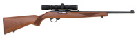 Ruger 10/22 Semi-Auto Carbine