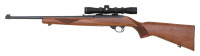 Ruger 10/22 Semi-Auto Carbine - 2