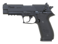 Sig Sauer Mosquito Semi-Auto Pistol - 2
