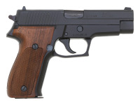 Sig Sauer P226 Semi-Auto Pistol