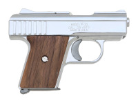 Raven P-25 Semi-Auto Pistol
