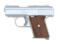 Raven P-25 Semi-Auto Pistol - 2