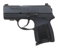 Sig Sauer P290RS Semi-Auto Pistol - 2