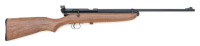 Lot of Two Air Rifles