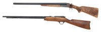Two Gun Lot - 2