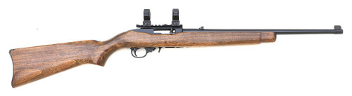 Ruger 10/22 Semi-Auto Carbine