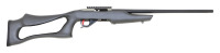 Custom Ruger 10/22 Semi-Auto Rifle