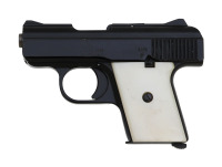 Raven Arms MP-25 Semi-Auto Pistol