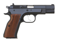 Springfield Armory Model P9 Semi-Auto Pistol