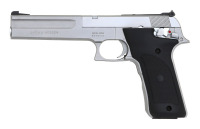 Smith & Wesson Model 2206 Semi-Auto Pistol