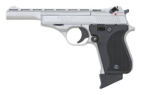 Phoenix Arms HP22A Semi-Auto Pistol