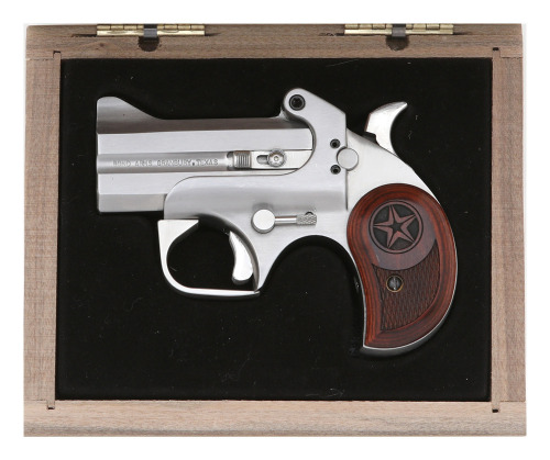 Bond Arms Texas Defender Derringer