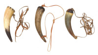 Lot of Three Powder Horns
