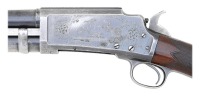Marlin Factory Engraved Model 24 Grade C Slide Action Shotgun - 2
