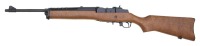 Ruger Semi-Auto Ranch Rifle - 2