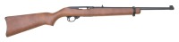 Ruger 10/22 Semi-Auto Rifle