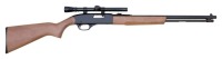 Winchester Model 190 Semi-Auto Rifle