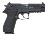 Sig Sauer Mosquito Semi-Auto Pistol