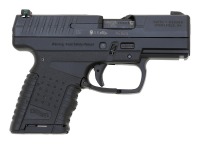 Walther PPS Semi-Auto Pistol