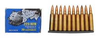 223 Rem Ammunition