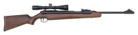 RWS Diana Model 48/52