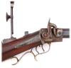 Interesting Percussion Target Rifle by James Mccririck of Ayr Scotland - 3