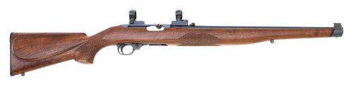 Ruger 44 Semi-Auto Carbine