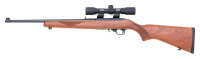 Ruger 10/22 Semi-Auto Carbine - 2
