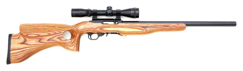 Custom Ruger 10/22 Semi-Auto Carbine