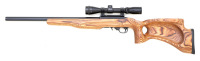 Custom Ruger 10/22 Semi-Auto Carbine - 2