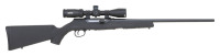 Savage A17 Semi-Auto Rifle