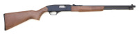Winchester Model 190 Semi-Auto Carbine