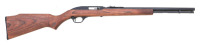 Marlin Model 60 Semi-Auto Rifle