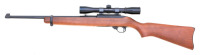 Ruger 10/22 Semi-Auto Carbine - 2