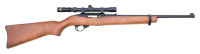 Ruger 10/22 Semi-Auto Carbine